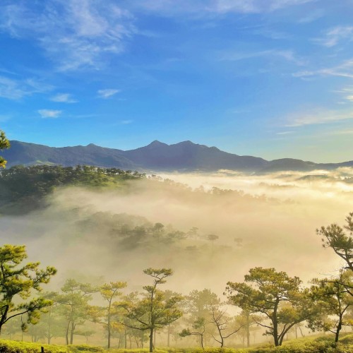 is-traveling-to-dalat-cold-in-october-c-m-ni-u-nh-ng-c