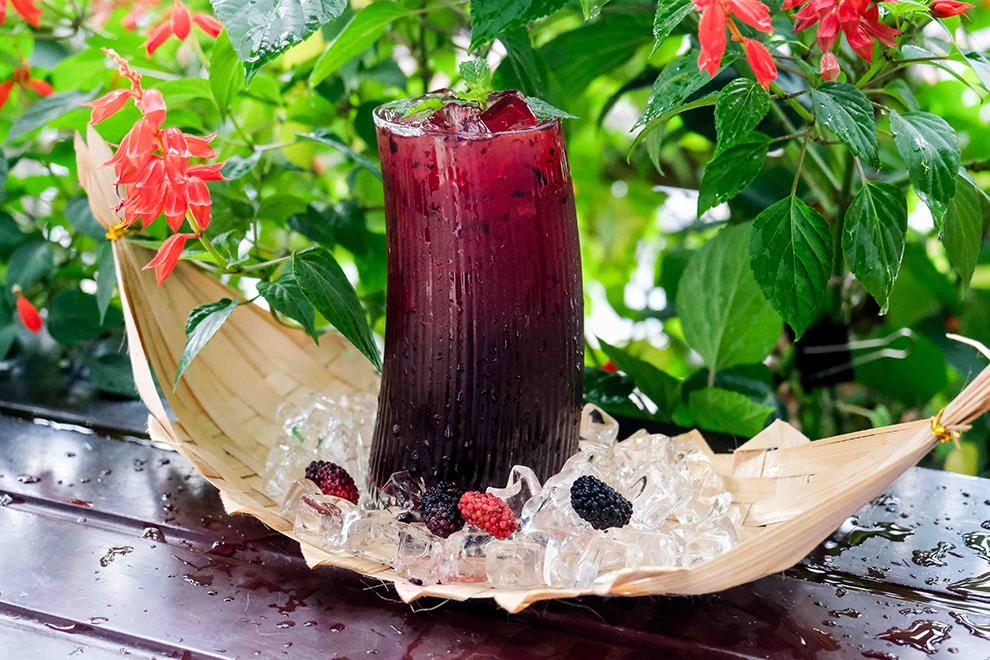 Trà Dâu Tằm Tươi